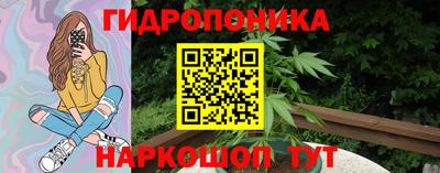 стаф Новодвинск
