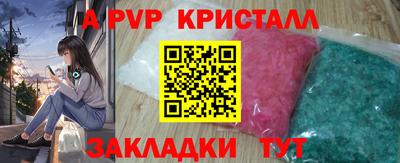 стаф Новодвинск