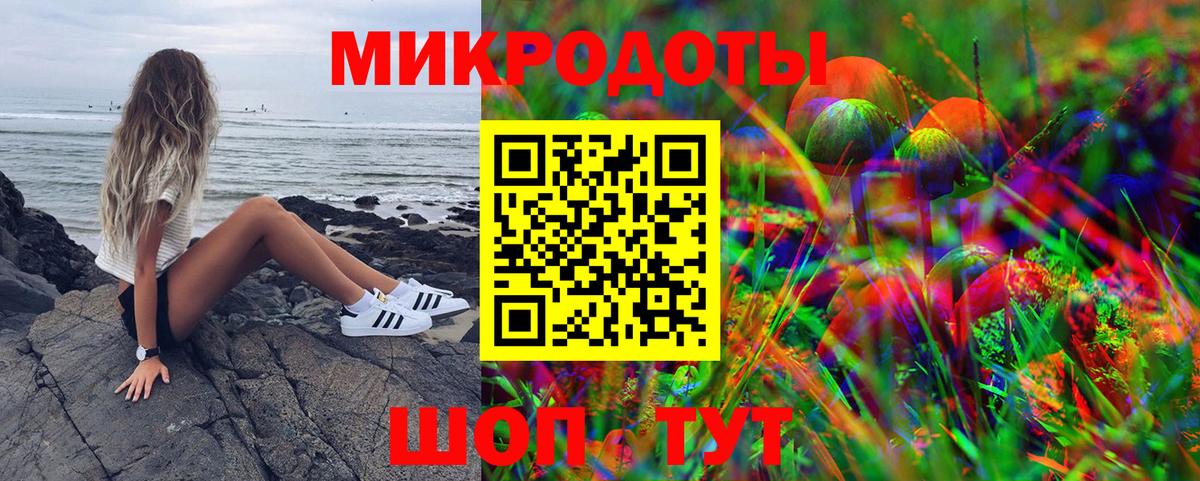 Алексеевка  Псилоцибиновые грибы Cubensis  Вход с VPN 